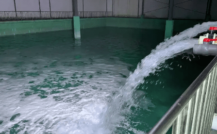 水處理消泡劑